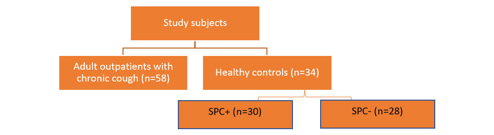 somatic_methods